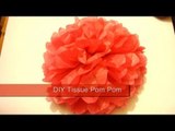 Tissue Pom Pom / How To Make Paper Pom Poms / Wedding Decor DIY