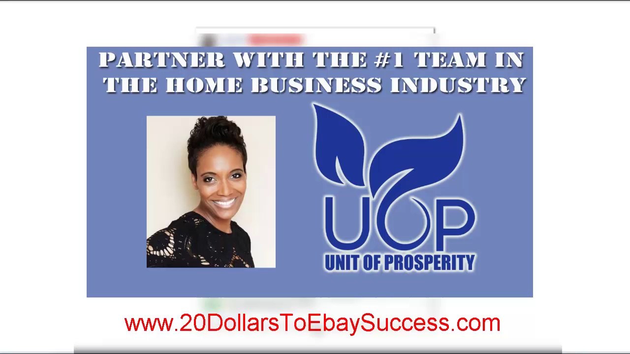 DS Domination Proof Review | UOP Team Ebay Sales Results 2014