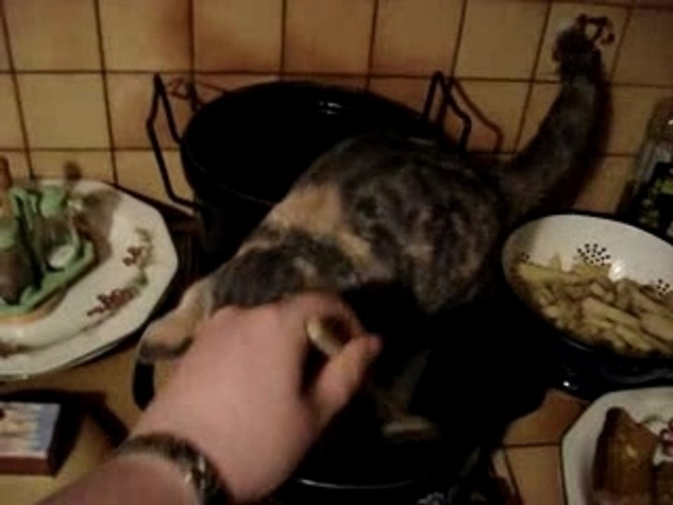 Le Chat à la casserole