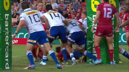 Reds Vs Stormers @ Suncorp 2014