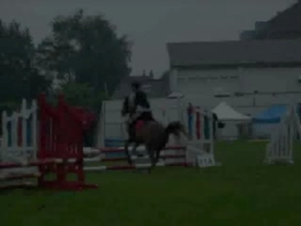 Didlina_0001