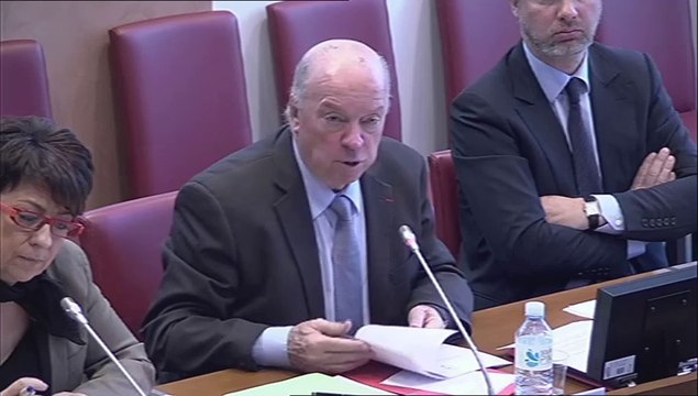 Audition de Mme Caroline Aparicio, responsable de la Permanence d'accès aux soins (PASS) de l'Hôpital Lariboisière - Jeudi 3 Avril 2014