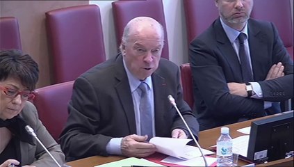 Audition de Mme Caroline Aparicio, responsable de la Permanence d'accès aux soins (PASS) de l'Hôpital Lariboisière - Jeudi 3 Avril 2014