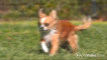 Arium Links Apartments in Savannah, GA - ForRent.com