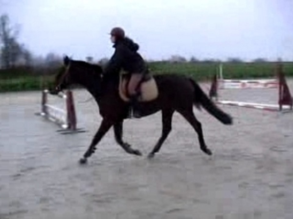 Saut