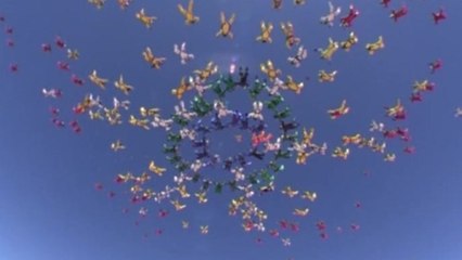 Skydiver dies during record bid