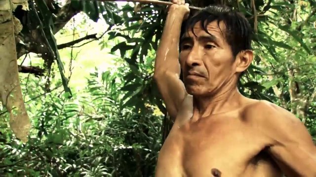 Incredible high dive into The Amazon River