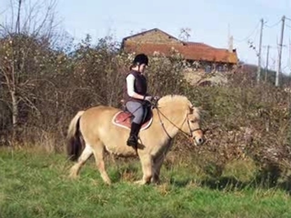 lou en folie