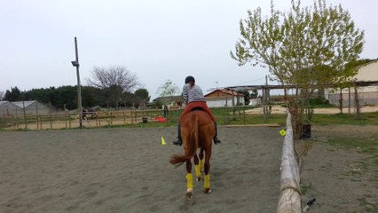 Uster - galop à gauche - 28/03/14