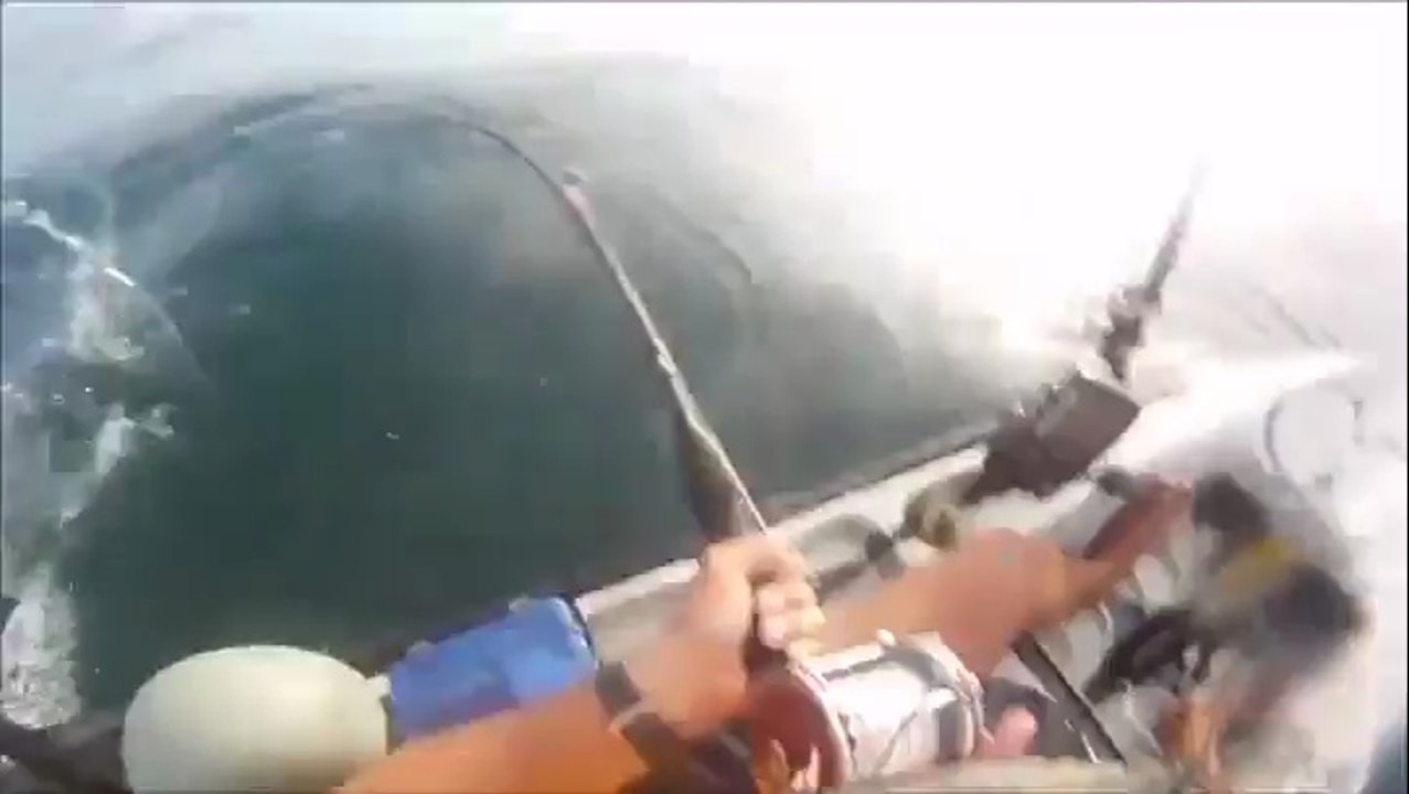 Balık Tutayım Derken Köpek Balığı Tutan Balıkçı