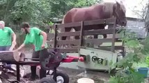 MP4 Songs - Amazing Horse Wood Cutter Machine - MobiGhar.Com