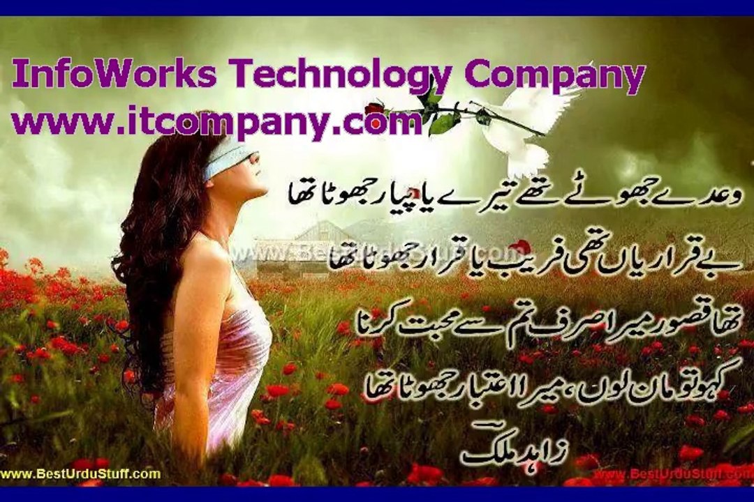 tu hii hai aashqi_DVD