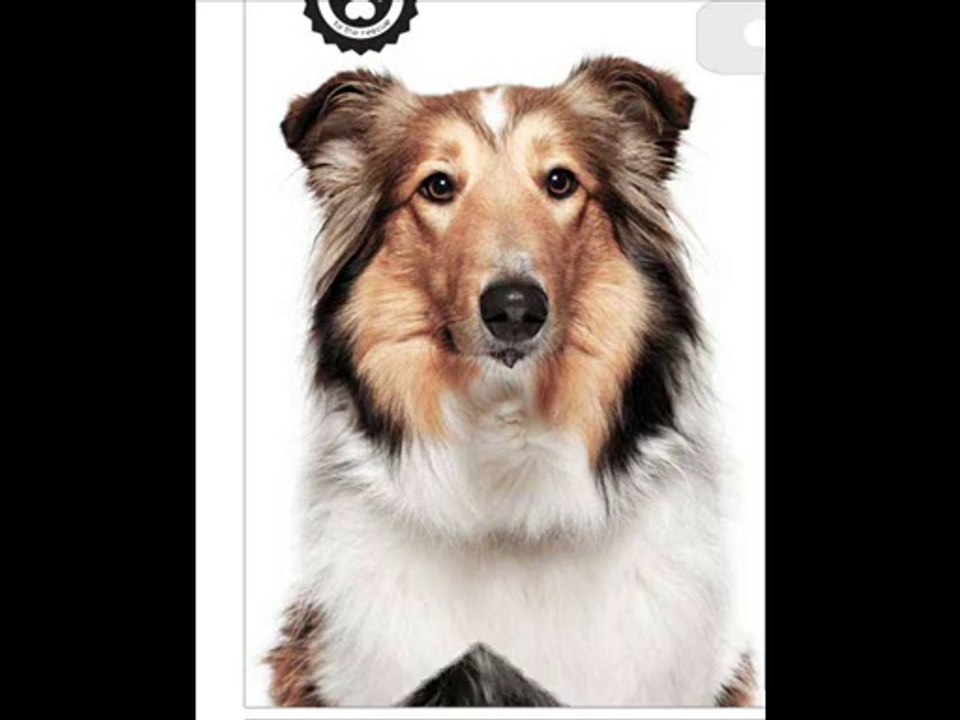 Ballet Harlem Shake (Extended Mix) - www.ballerobica.com