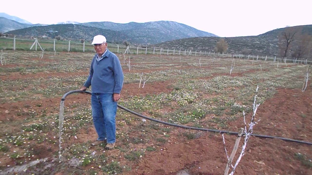 SOLAR POMPA 30M DERİNLİKTEN 3 TON SU