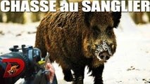 Tir sanglier sous la neige