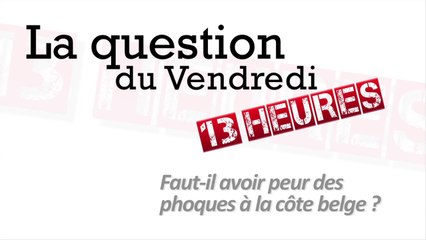 Faut-il avoir peur des phoques à la côte belge ?