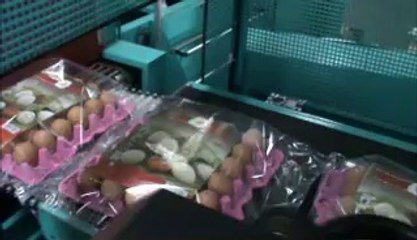 Yumurta Paketleme Videosu- L Kesme Sonsuz Kesim dakikada 30-35 Paket