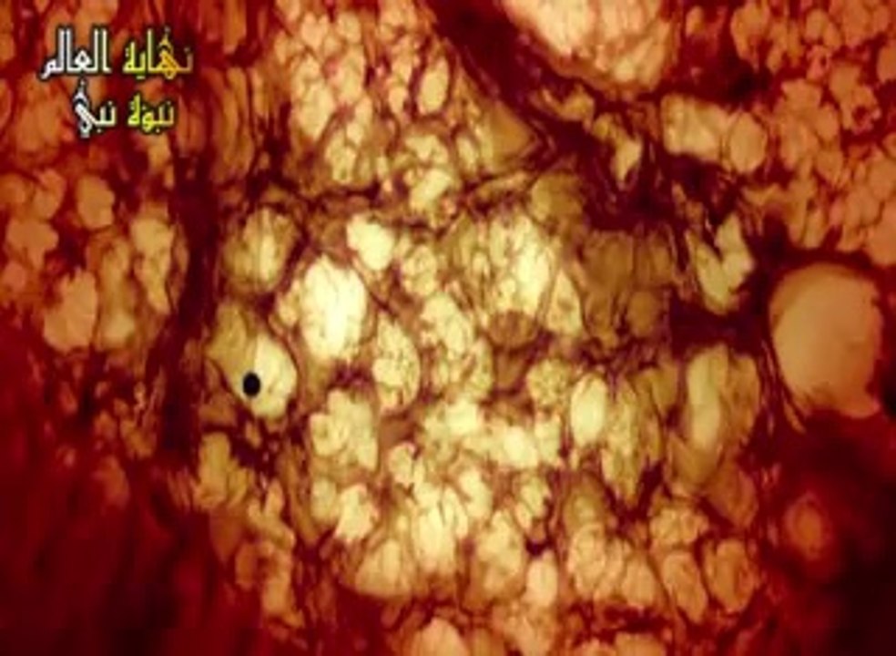 أهوال يوم القيامة~ نهاية العالم.
