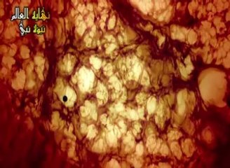 أهوال يوم القيامة~ نهاية العالم.