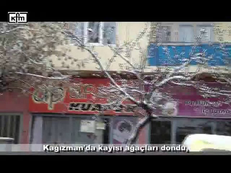 Kağızman'da kayısı ağaçları dondu