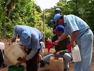 ВОЗ: миру угрожает лихорадка денге