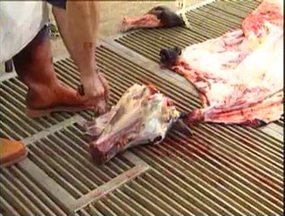 4-Büyükbaş Hayvanlarda Derilerin Yüzülmesi ve Muhafazası