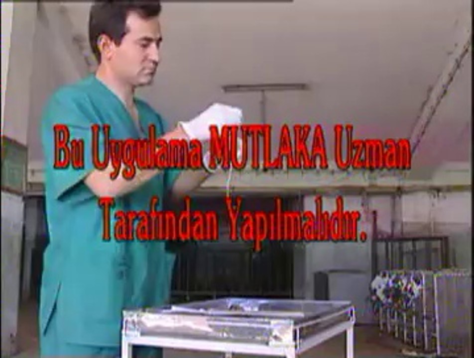 4-Koyun Sürülerinde Doğumların Toplulaştırılması