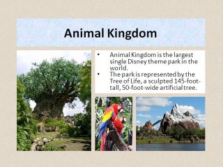 Most visiting attractions in Manila