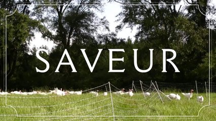 Baton Rouge, Louisiana: Farm to Table