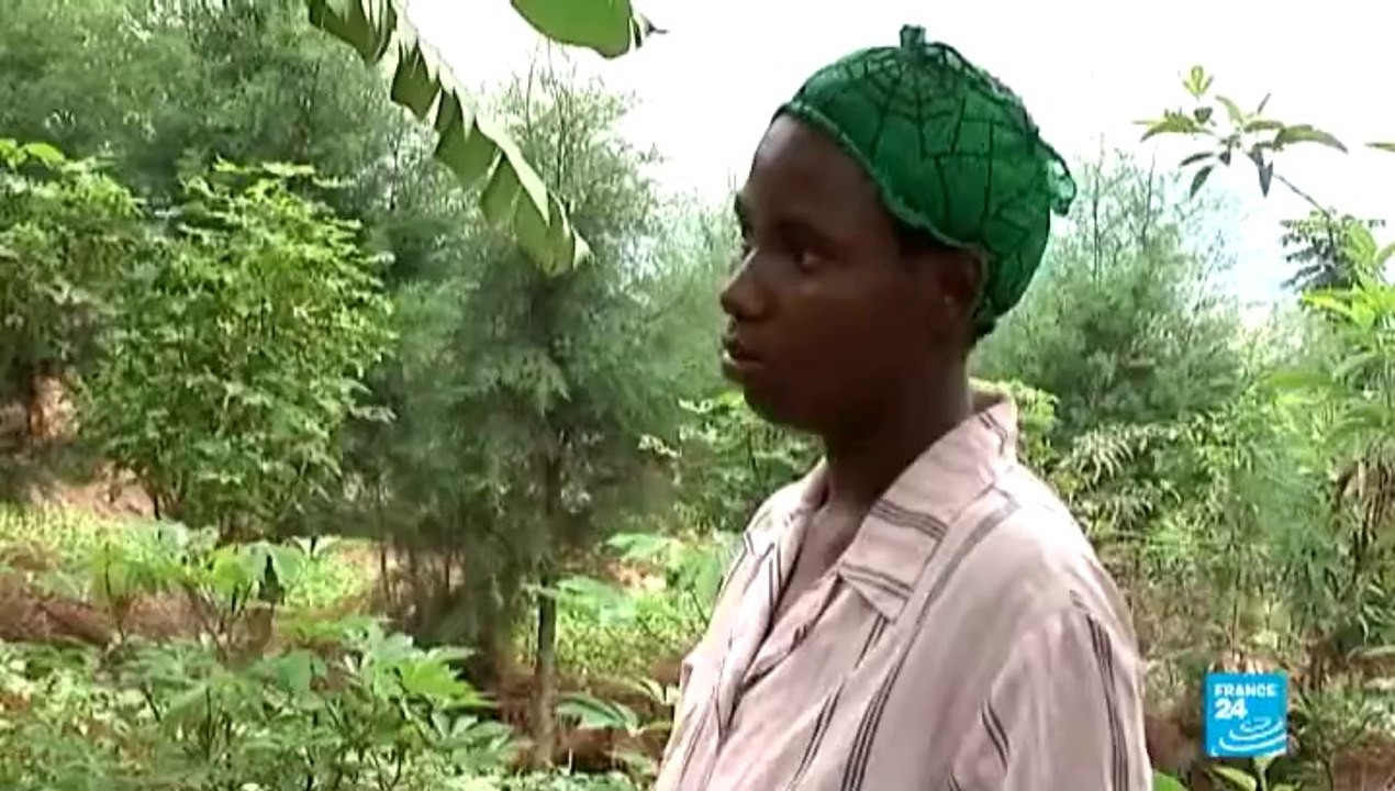 GRAND REPORTAGE - Retour à Kigali, vingt ans après le génocide rwandais