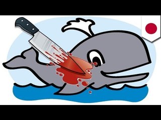 DYING FOR SCIENCE: Japan cancels '14 hunt