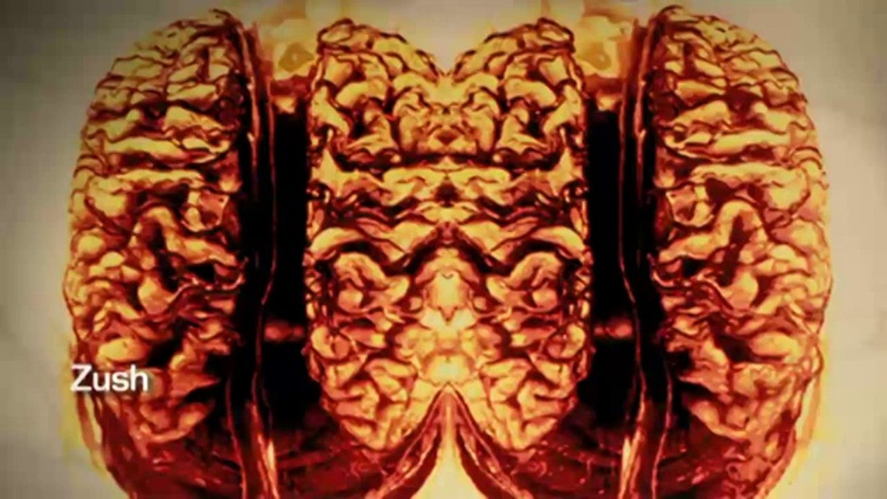 TV3 - 33 recomana - Res no s'atura. Fundació Suñol. Barcelona