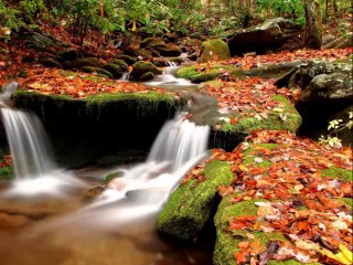 Yokluğun Fon Müzik