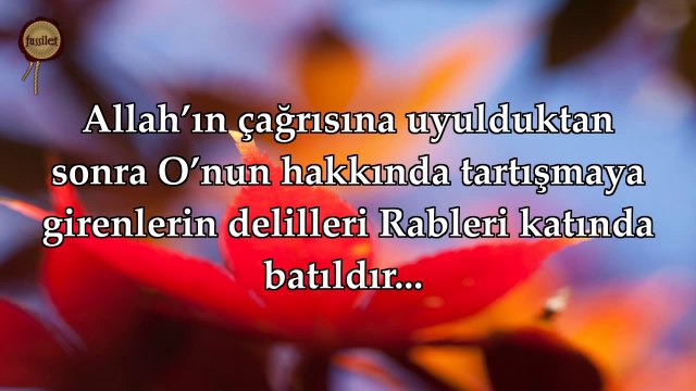 42 Şura Suresi - Nasser al Qatami