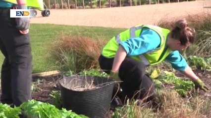 Parque Olímpico de Londres, nueva atracción turística
