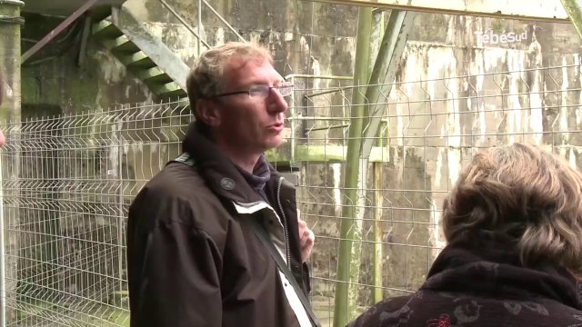 Lorient. Un observatoire pour les goëlands ?
