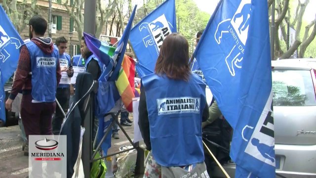 Animalisti, rinviata al 6 maggio la sentenza conclusiva contro il Tenente Balanzoni