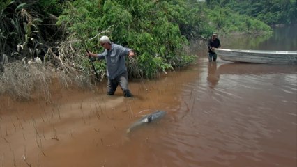 Sneak Peek: Jeremy Wade vs. Piraiba