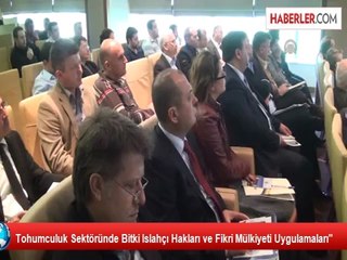 Tohumculuk Sektöründe Bitki Islahçı Hakları ve Fikri Mülkiyeti Uygulamaları"
