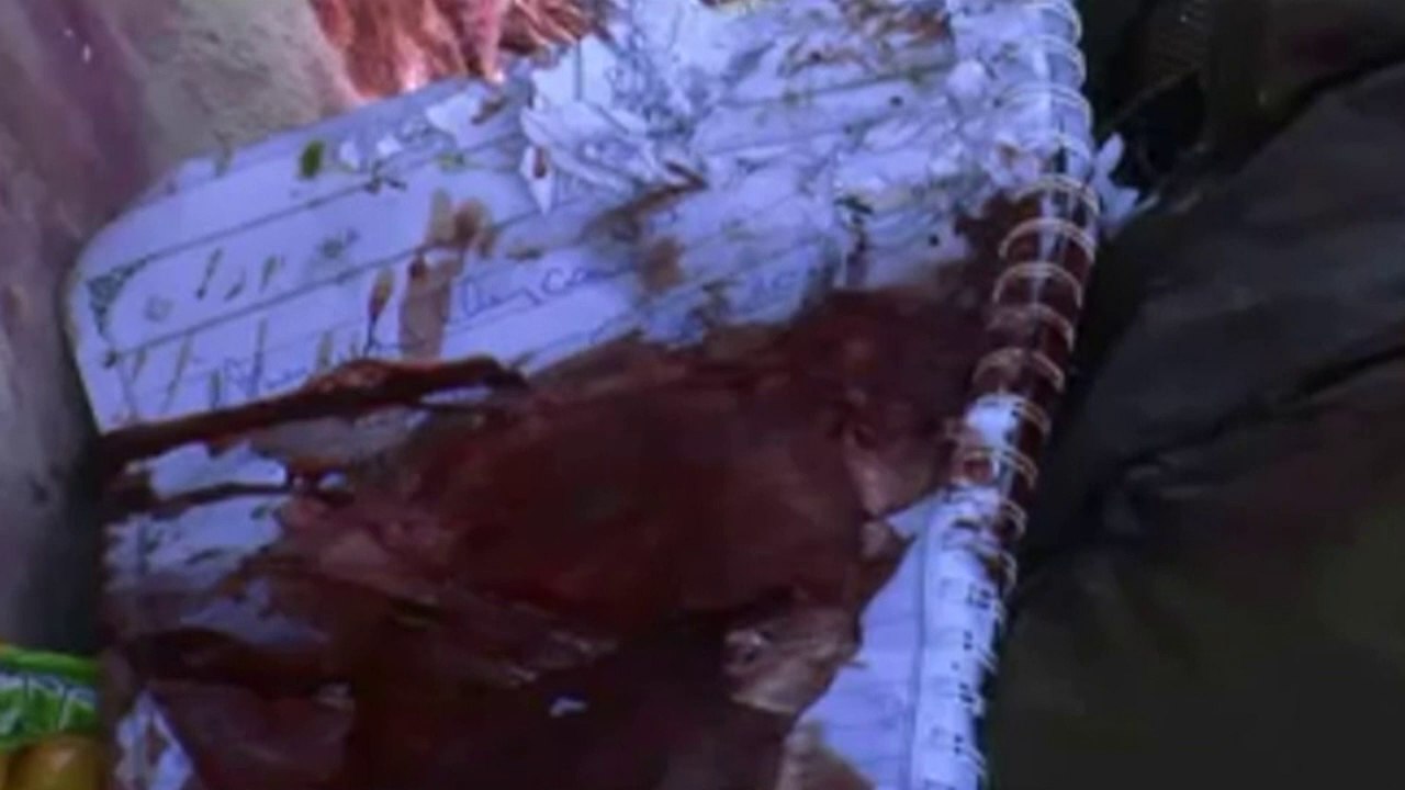 AP-Fotografin Anja Niedringhaus in Afghanistan erschossen