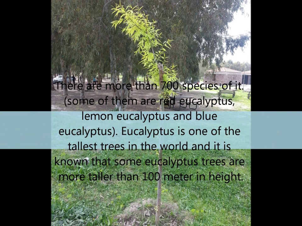 Biodiversity Research Project