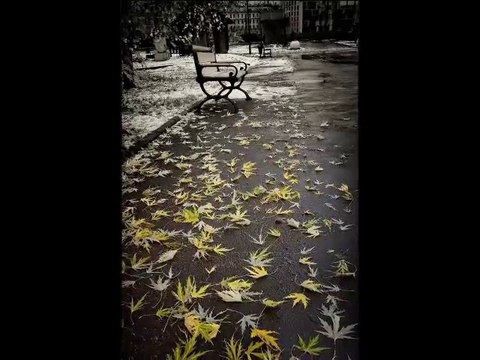 Ömrün şu biten neşvesi tâm olsun erenler... Elif Ömürlü Uyar