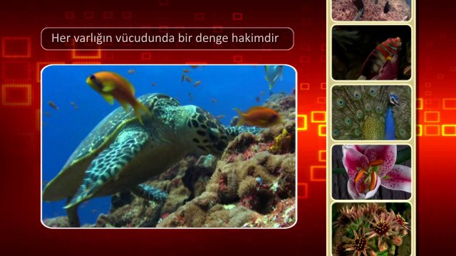 1- Yaratılıştaki denge delili (Yaratılış Delilleri)