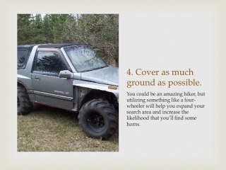 Brandon Vallorani - Bone Collecting Tips