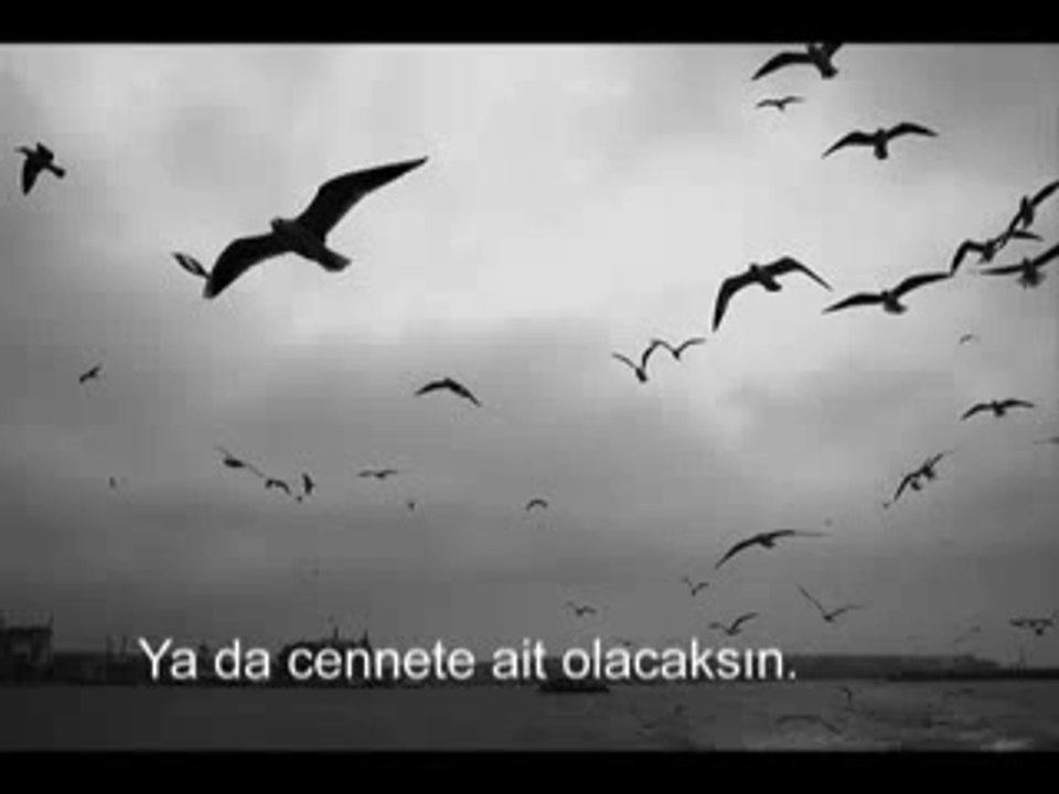 Can Yücel