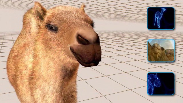 2- İmkân delili (Yaratılış Delilleri)