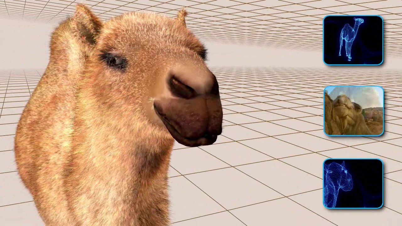 2- İmkân delili (Yaratılış Delilleri)