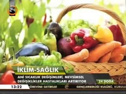 Çevre kirliliği ve sağlığa etkileri 2