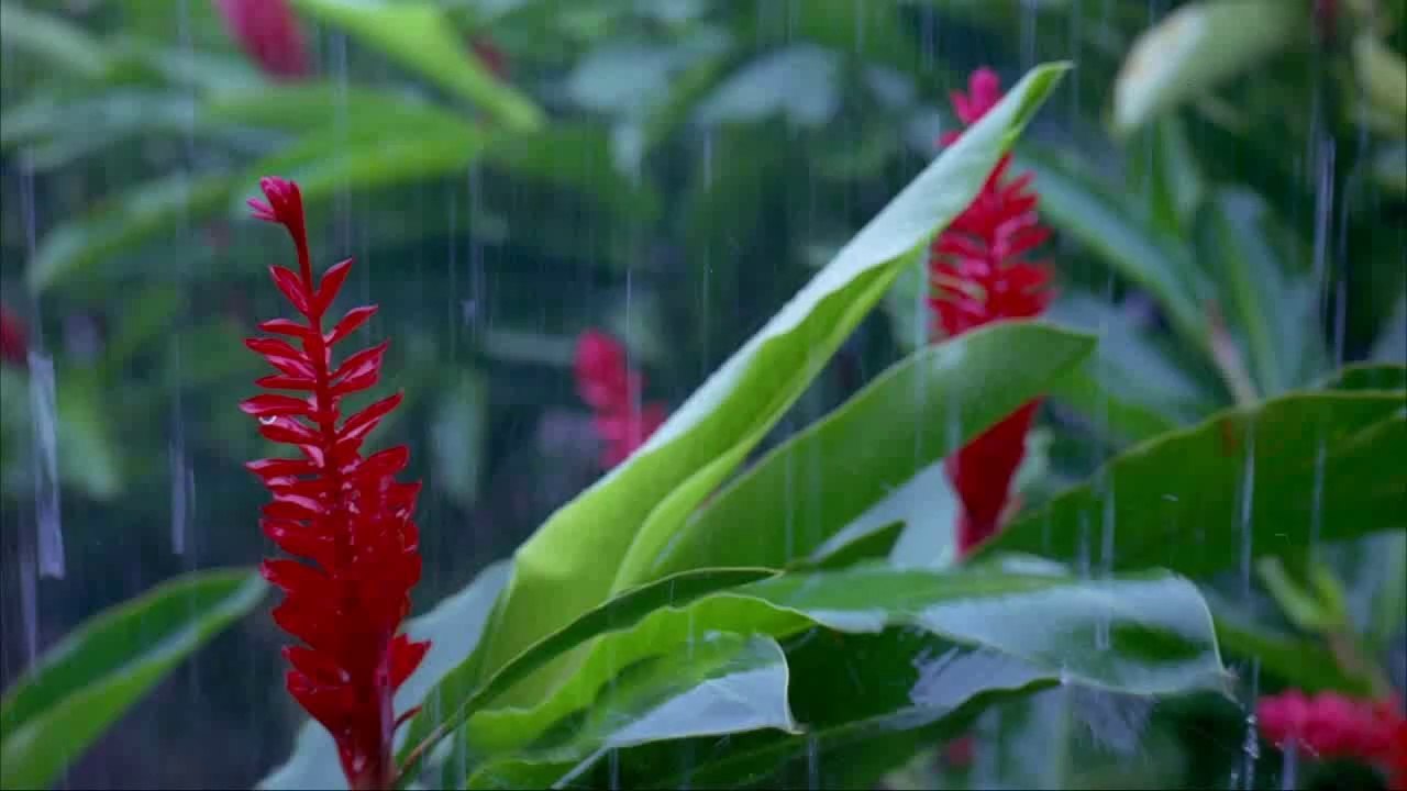 5- İsimler sahipsiz olamaz (Yaratılış Delilleri)