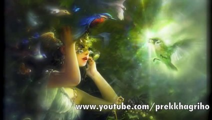 Sukh Pakhi - Kumar Biswajit